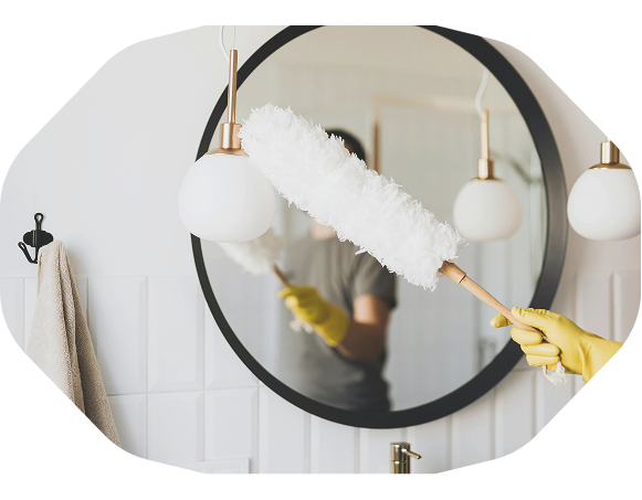 Cleaning mirror with dust brush